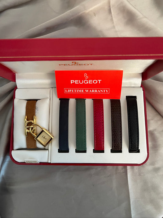 *Working* RARE Interchangeable Band Lock Set